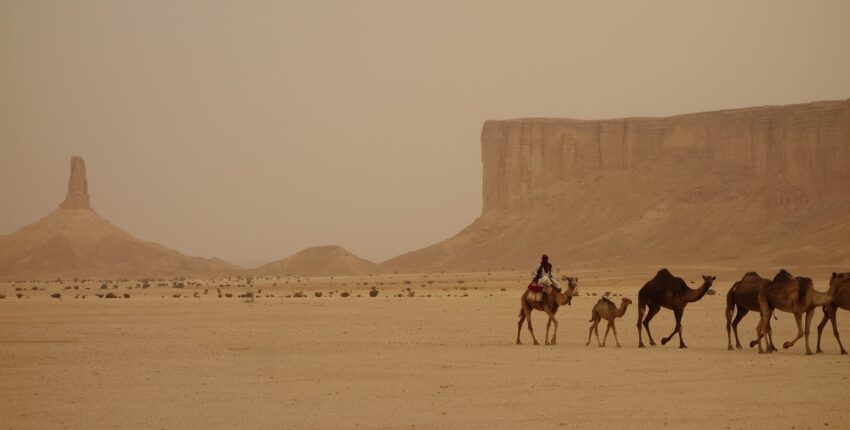 Riad: Mieten eines Privatjets 
