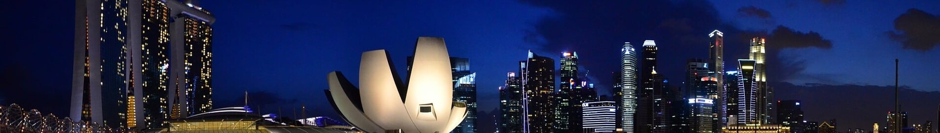 Mieten Sie einen Privatjet von/nach Singapur