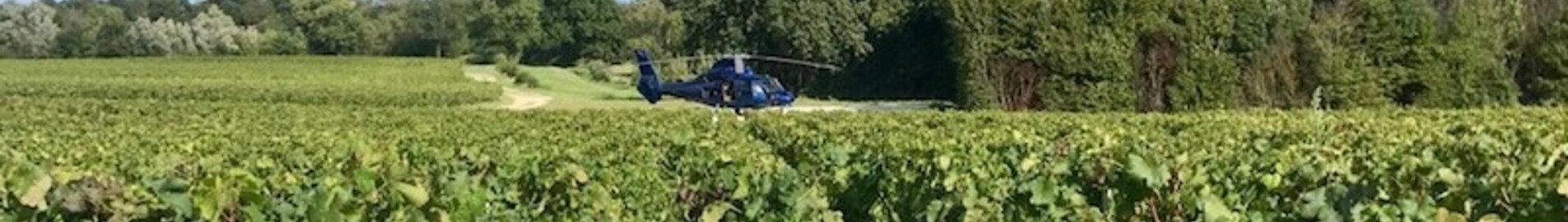 Entdeckung der Weinberge mit dem Hubschrauber