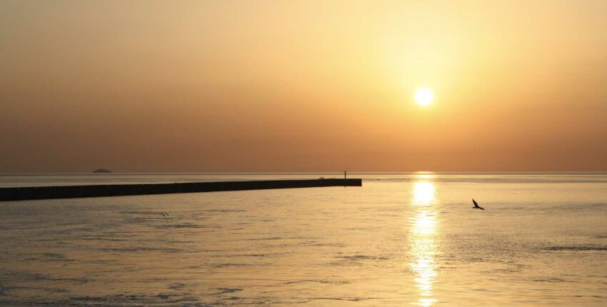 Coucher de soleil, longue jetée, oiseau à l'horizon.