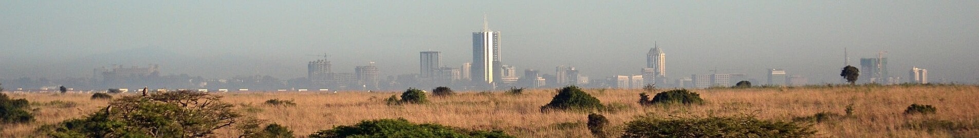 Nairobi: Mieten eines Privatjets 