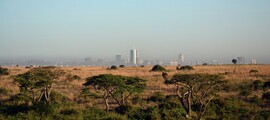 Mieten Sie einen Privatjet von/nach Namibe