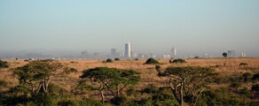 Nairobi: Mieten eines Privatjets 