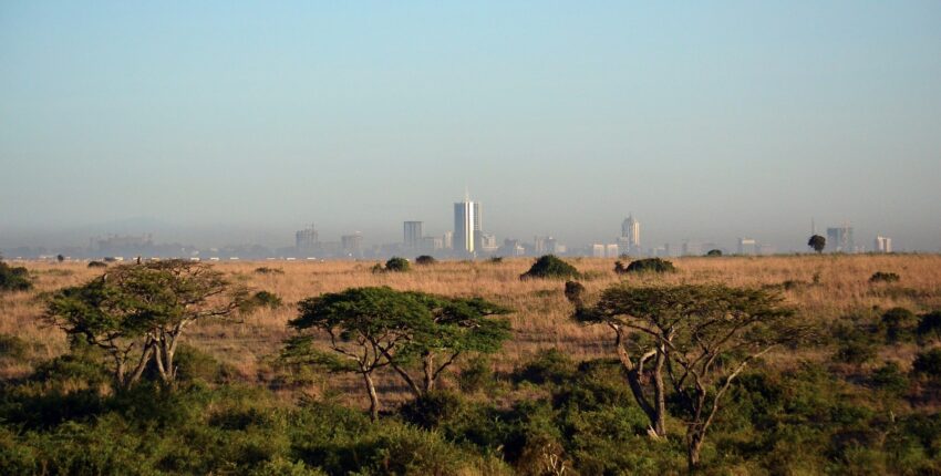 Nairobi: Mieten eines Privatjets 