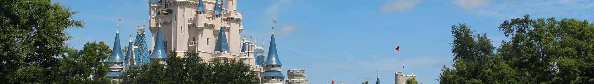 Orlando: Privatjet mieten 