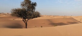 Paris - Abu Dhabi : privatjet mieten