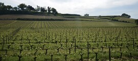 Die Weinberge der Champagne: Erlebnis im Hubschrauber