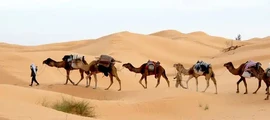 Tunis-Karthago