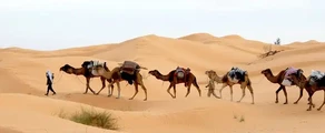 Privatjet mieten nach Tunis