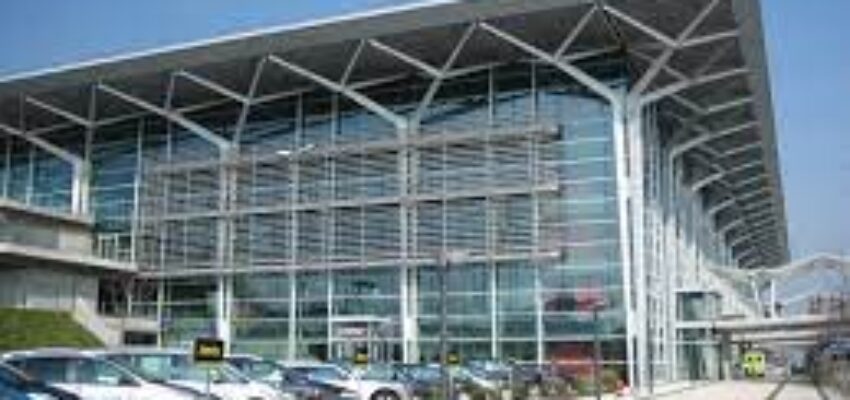 aeroport bale mulhouse