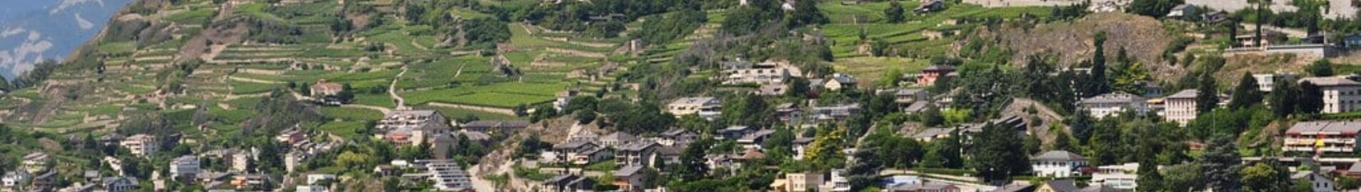 Privatjet mieten nach Sion