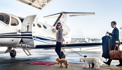Kann mein Hund mit mir an Bord eines Privatjets reisen?