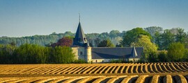 Brustem Sint Truiden : Private Jet Charter 