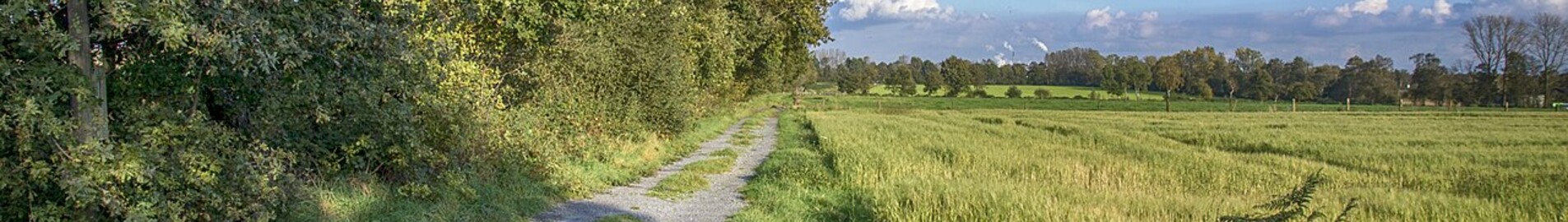 Mieten Sie einen Privatjet von/nach Dinslaken Schwarze Heide