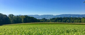 Dubendorf: Privatjet mieten 