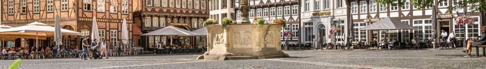 Mieten Sie einen Privatjet von/nach Hildesheim