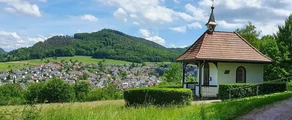Lahr Schwarzwald: Privatjet Mieten