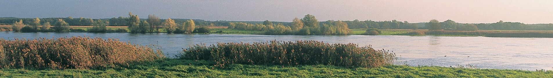 Neuhardenberg Wriezen : Privatjet Charter