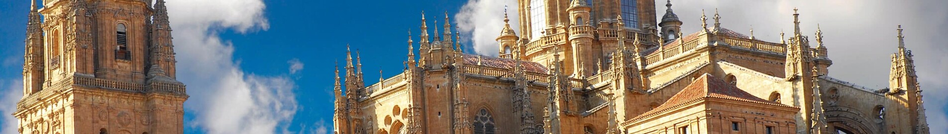 Mieten Sie einen Privatjet von/nach Salamanca Matacán