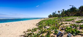 La Réunion: Privatjet-Charter 