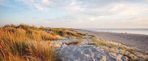 Wittering: Privatjet mieten 