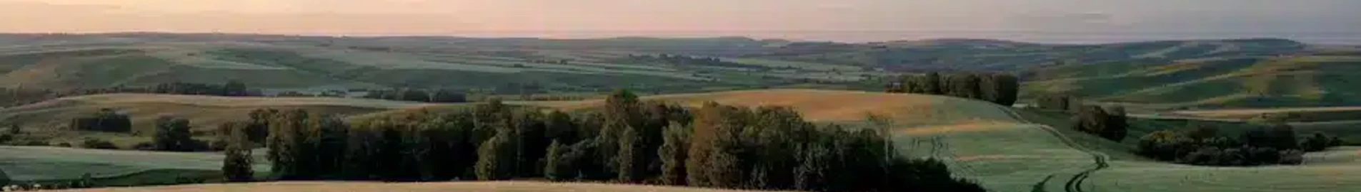 Mieten Sie einen Privatjet von/nach Barnaul