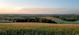 Nalchik: Privatjet mieten