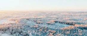 Finnland: Vermietung von Privatjets
