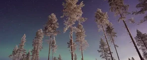 Gallivare Lapland: Vermietung von Privatjets