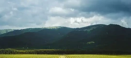 Ostafjewo: Privatjet mieten