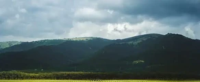 Gelendzhik: Privatjet mieten