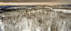 Ljungby Feringe: Privatjet mieten