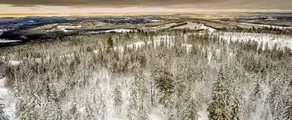 Hagfors: Privatjet mieten