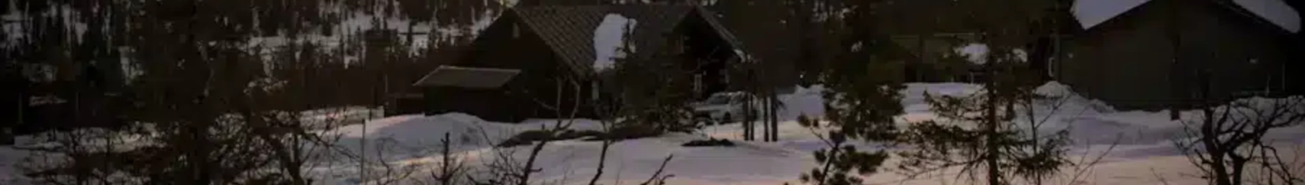 Mieten Sie einen Privatjet von/nach Hede-vemdalen Hedlanda