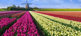 Drachten: Privatjet mieten