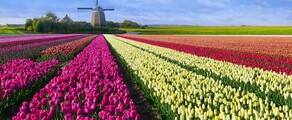Hoogeveen : Standort für Privatjet