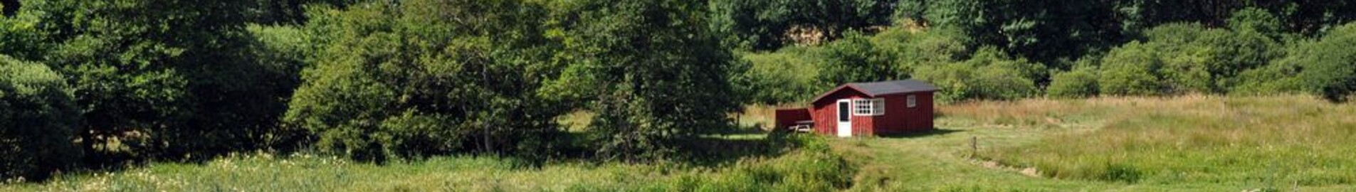 Karup : Privatjet mieten 