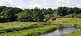 Ronne Bornholm: Privatjet mieten 