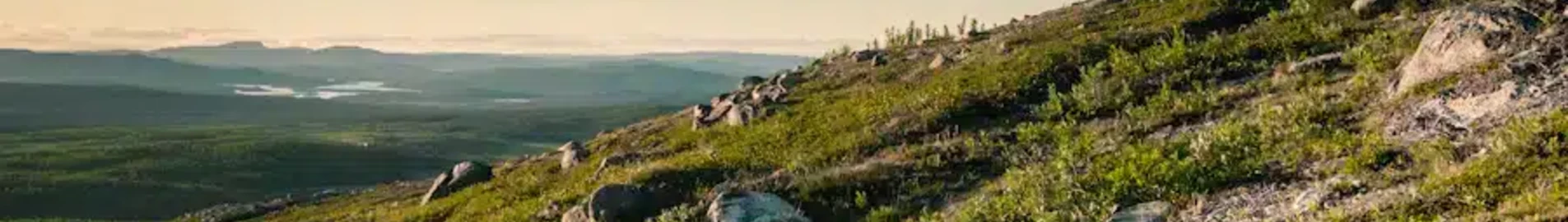 Mieten Sie einen Privatjet von/nach Kiruna