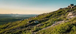 Kalixfors: Privatjet mieten