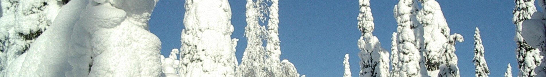 Kuusamo: Privatjet mieten 