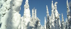 Kuusamo: Privatjet mieten 