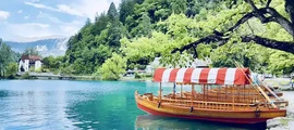 Slovenj Gradec : Private Jet Charter
