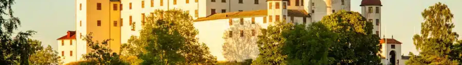 Lidkoping: Privatjet mieten