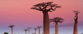 Madagaskar: Privatjet-Charter