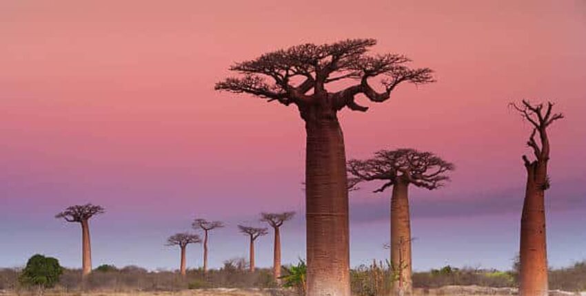 Madagaskar: Privatjet-Charter