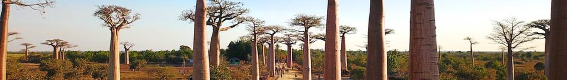 Mieten Sie einen Privatjet von/nach Morondava