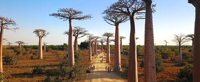 Morondava : Mieten eines Privatjets