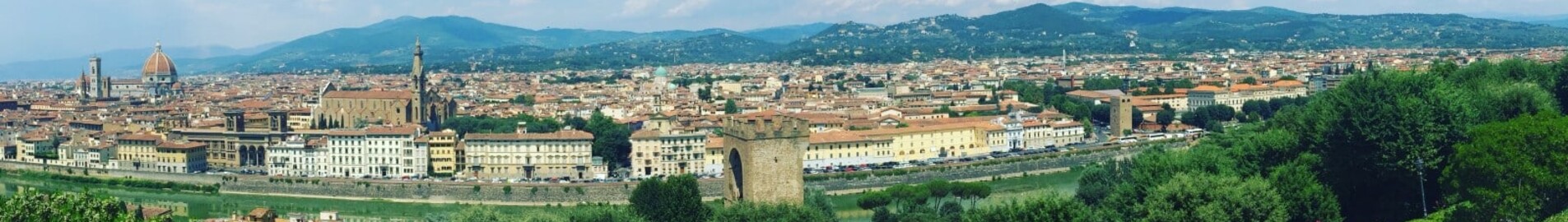 Pontedera: Privatjet mieten 