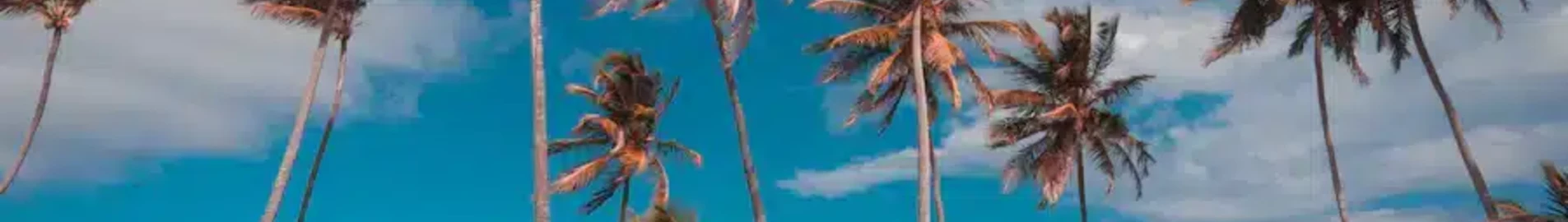 Punta Cana: Privatjet mieten